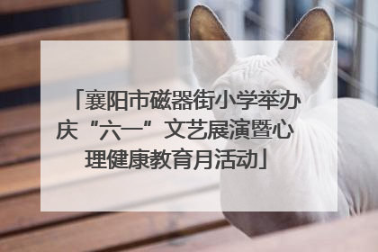 襄阳市磁器街小学举办庆“六一”文艺展演暨心理健康教育月活动