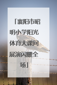 襄阳市昭明小学阳光体育大课间展演闪耀全场