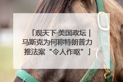 观天下·美国政坛｜马斯克为何称特朗普力推法案“令人作呕”