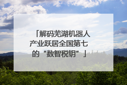 解码芜湖机器人产业跃居全国第七的“数智税钥”