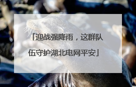 迎战强降雨，这群队伍守护湖北电网平安