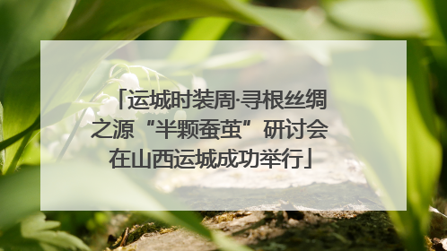 运城时装周·寻根丝绸之源“半颗蚕茧”研讨会在山西运城成功举行