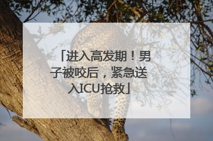 进入高发期！男子被咬后，紧急送入ICU抢救