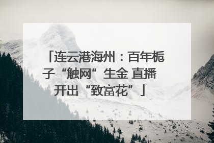 连云港海州：百年栀子“触网”生金 直播开出“致富花”