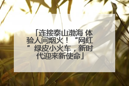 连接泰山渤海 体验人间烟火！“网红”绿皮小火车，新时代迎来新使命