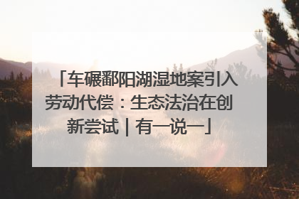 车碾鄱阳湖湿地案引入劳动代偿：生态法治在创新尝试｜有一说一