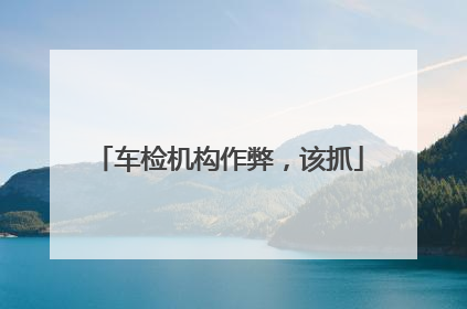 车检机构作弊，该抓