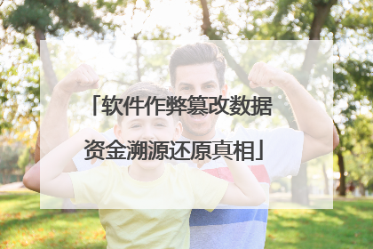 软件作弊篡改数据 资金溯源还原真相
