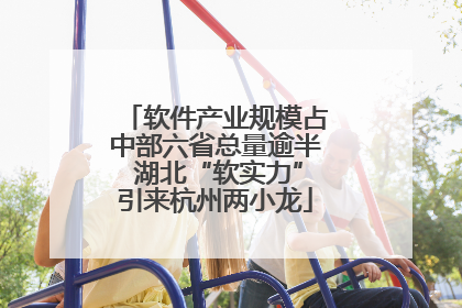 软件产业规模占中部六省总量逾半 湖北“软实力”引来杭州两小龙