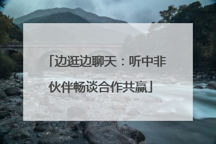 边逛边聊天：听中非伙伴畅谈合作共赢