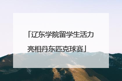 辽东学院留学生活力亮相丹东匹克球赛