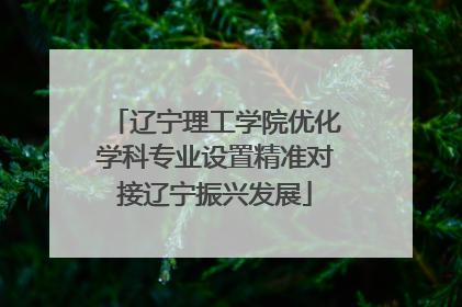 辽宁理工学院优化学科专业设置精准对接辽宁振兴发展
