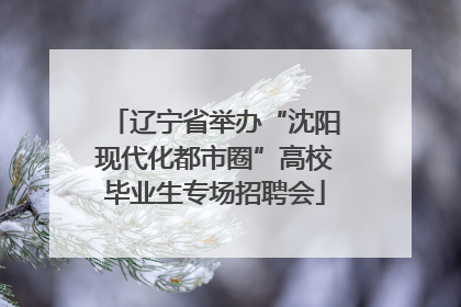 辽宁省举办“沈阳现代化都市圈”高校毕业生专场招聘会