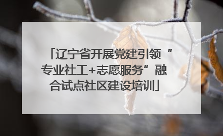 辽宁省开展党建引领“专业社工+志愿服务”融合试点社区建设培训