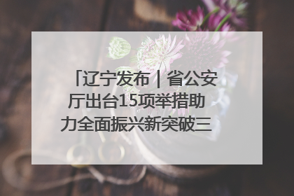 辽宁发布｜省公安厅出台15项举措助力全面振兴新突破三年行动决胜之战
