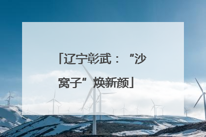 辽宁彰武：“沙窝子”焕新颜