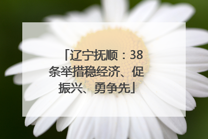 辽宁抚顺：38条举措稳经济、促振兴、勇争先