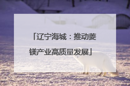 辽宁海城：推动菱镁产业高质量发展