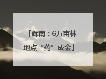 辉南：6万亩林地点“药”成金