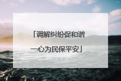 调解纠纷促和谐 一心为民保平安