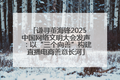 谦寻董海锋2025中国网络文明大会发声：以“三个向善”构建直播电商善意长河