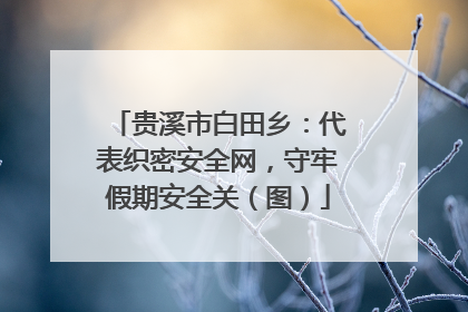 贵溪市白田乡：代表织密安全网，守牢假期安全关（图）