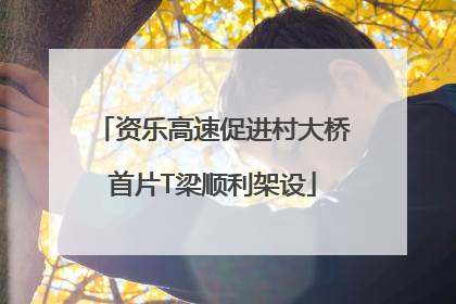 资乐高速促进村大桥首片T梁顺利架设
