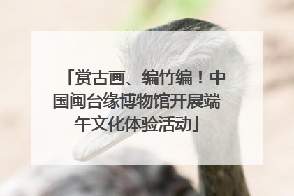 赏古画、编竹编！中国闽台缘博物馆开展端午文化体验活动