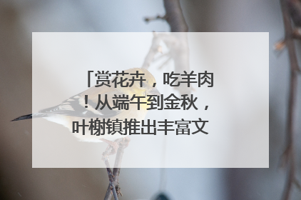 赏花卉，吃羊肉！从端午到金秋，叶榭镇推出丰富文旅活动邀您爽玩