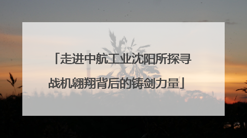 走进中航工业沈阳所探寻战机翱翔背后的铸剑力量