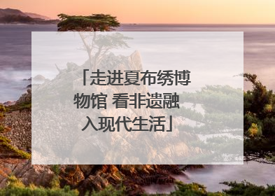 走进夏布绣博物馆 看非遗融入现代生活