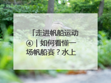 走进帆船运动④｜如何看懂一场帆船赛？水上的“速度与激情”同样精彩