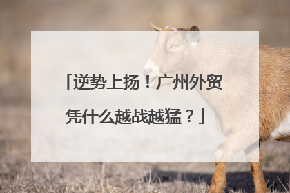 逆势上扬！广州外贸凭什么越战越猛？