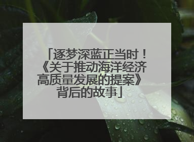 逐梦深蓝正当时！《关于推动海洋经济高质量发展的提案》背后的故事