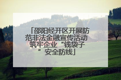 邵阳经开区开展防范非法金融宣传活动 筑牢企业“钱袋子”安全防线