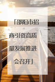 邵阳市招商引资高质量发展推进会召开