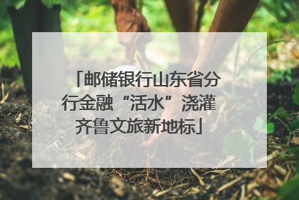 邮储银行山东省分行金融“活水”浇灌齐鲁文旅新地标