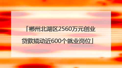 郴州北湖区2560万元创业贷款撬动近600个就业岗位