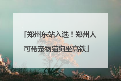 郑州东站入选！郑州人可带宠物猫狗坐高铁