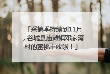 采摘季持续到11月，谷城县庙滩镇邓家湾村的蜜桃丰收啦！