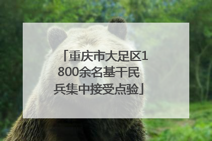 重庆市大足区1800余名基干民兵集中接受点验