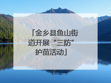 金乡县鱼山街道开展“三防”护苗活动