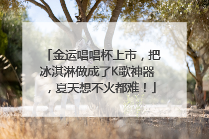 金运唱唱杯上市，把冰淇淋做成了K歌神器，夏天想不火都难！