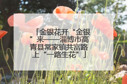 金银花开“金银”来——淄博市高青县常家镇共富路上“一路生花”