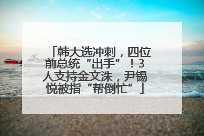 韩大选冲刺，四位前总统“出手”！3人支持金文洙，尹锡悦被指“帮倒忙”