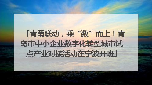青甬联动，乘“数”而上！青岛市中小企业数字化转型城市试点产业对接活动在宁波开班