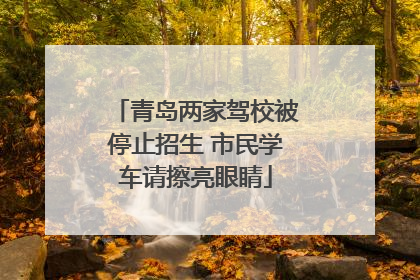 青岛两家驾校被停止招生 市民学车请擦亮眼睛