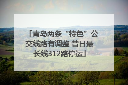 青岛两条“特色”公交线路有调整 昔日最长线312路停运