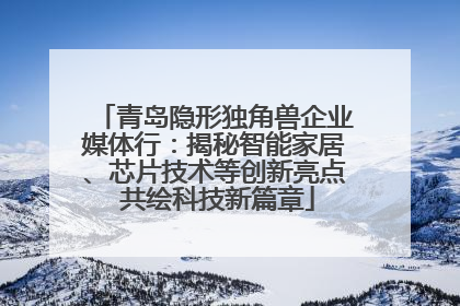 青岛隐形独角兽企业媒体行：揭秘智能家居、芯片技术等创新亮点 共绘科技新篇章
