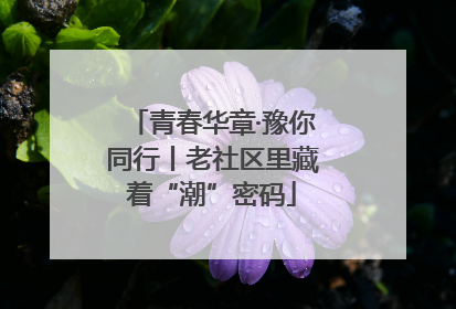 青春华章·豫你同行丨老社区里藏着“潮”密码